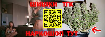 СК Краснодар