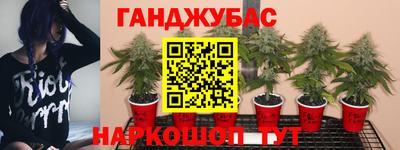 PSILOCYBIN Краснокаменск