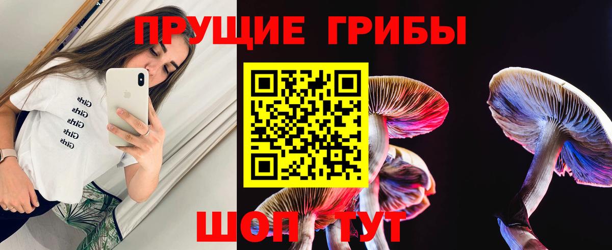 Моршанск  Псилоцибиновые грибы Magic Shrooms  Вход с VPN 